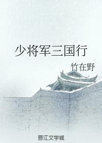 三国少年将军