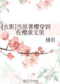 佐樱佐助穿越回过去的文