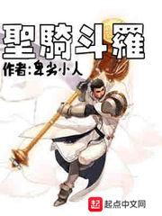 圣骑斗罗txt