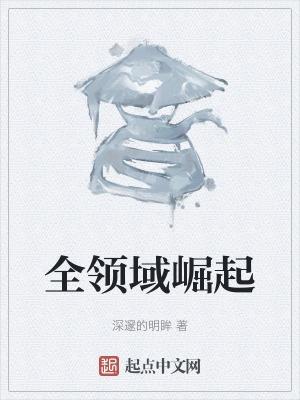 全领域什么意思