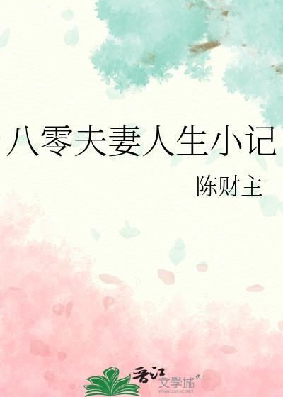 八零夫妻人生小记无防盗