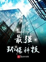 中国最强的环保公司