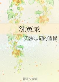 洗冤录邹子龙后来怎么样