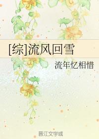 与流风回雪相似的词语