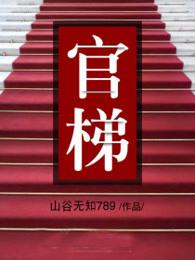 官梯无删减完整版