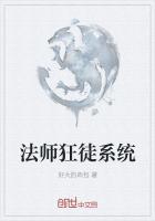 狂徒法师塔配装