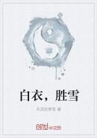 白衣胜雪的比喻什么意思