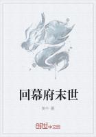 主角是幕府将军的