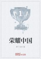 将军的荣耀中国战役