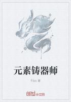 元素师 武器