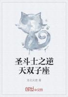 圣斗士冥王神话lc双子座