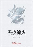 黑夜流星壁纸