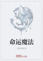 命运魔法师 游戏