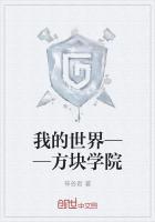 我的世界允许方块有什么用