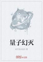 量子湮灭