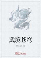 阴阳师苍穹之境