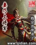 妻乃上将军女主介绍