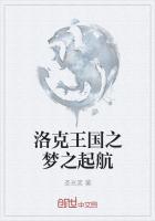 宝可梦洛克王国