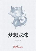 东二梦想龙珠