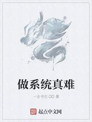 做系统很慢