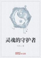 灵魂的守护者 pdf