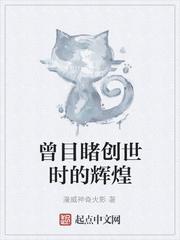 曾目睹创世时的辉煌是什么歌