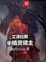 魔兽世界精灵领主