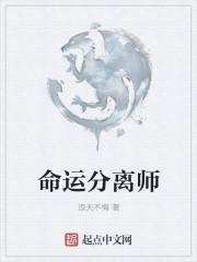 毛囊分离师