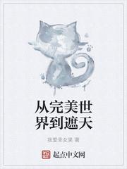 从完美世界到遮天变成叶凡的师尊