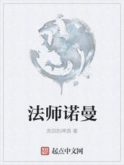 法师诺曼txt