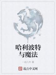 哈利波特与魔法石中国首映