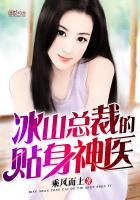 冰山女总裁的贴身神医苏寒免费