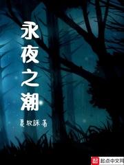 永夜之役传奇