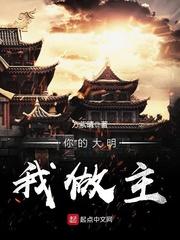 大明我做主