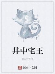 井中王是什么玉