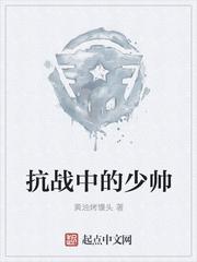 抗战时期少将军衔相当于什么官