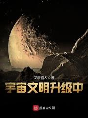 宇宙文明等级100级