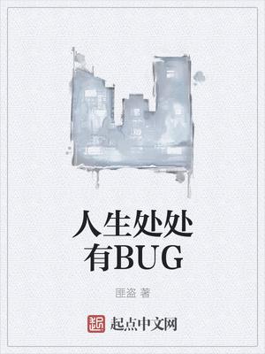 人生处处有BUG 匪盗