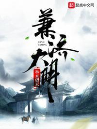 大明济南府