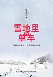 雪地里的单车(出版) 张小娴(出版)