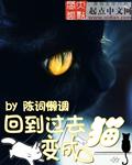 回到过去变成猫电影出了吗