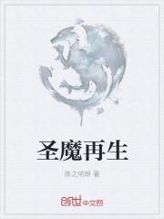 圣魔是什么