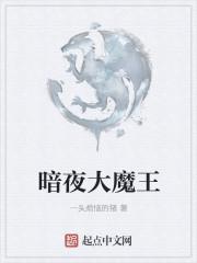 豚豚大魔王个人简介