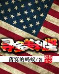 寻宝美利坚类型