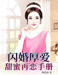 闪婚厚爱：甜蜜再恋手册