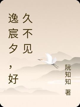 逸宸夕，好久不见