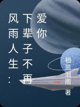 风雨人生:下辈子不再爱你