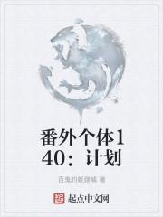 番外个体140：计划