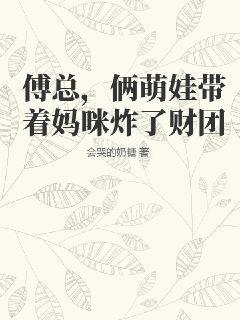 傅总，俩萌娃带着妈咪炸了财团