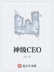 神级CEO